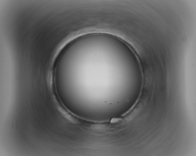 X0000115241511200911061137
