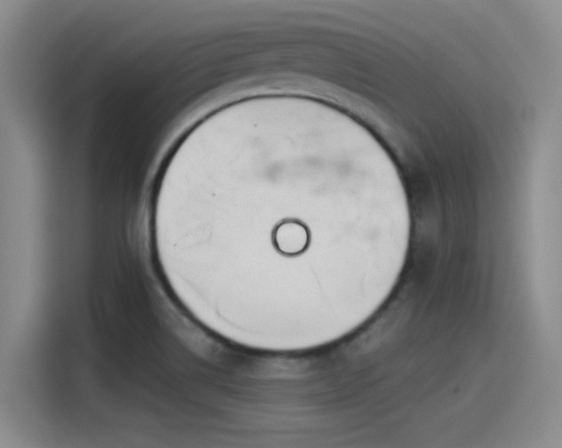 X0000115241514200911061137