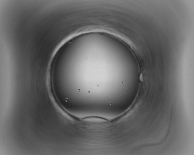 X0000115241518200911061137
