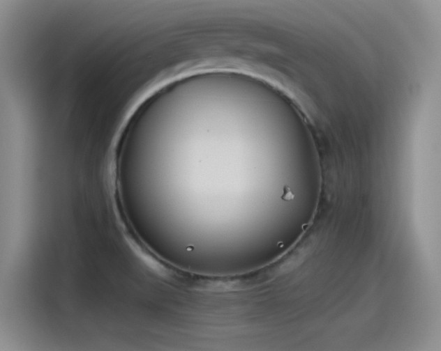 X0000115241519200911061137