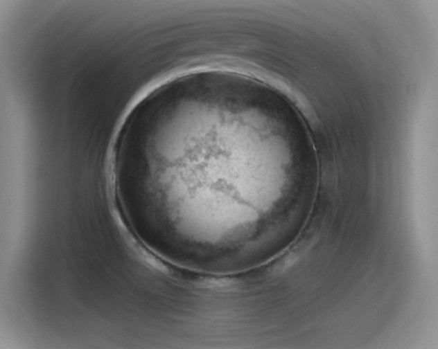 X0000115241522200911061137