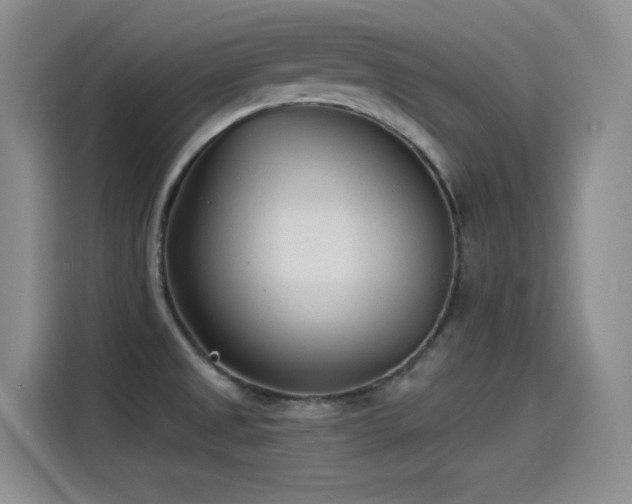 X0000115241525200911061137