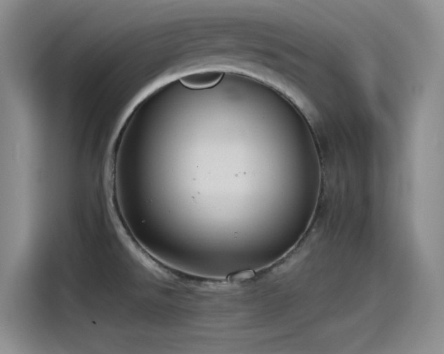 X0000115241526200911061137