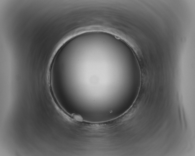 X0000115241527200911061137