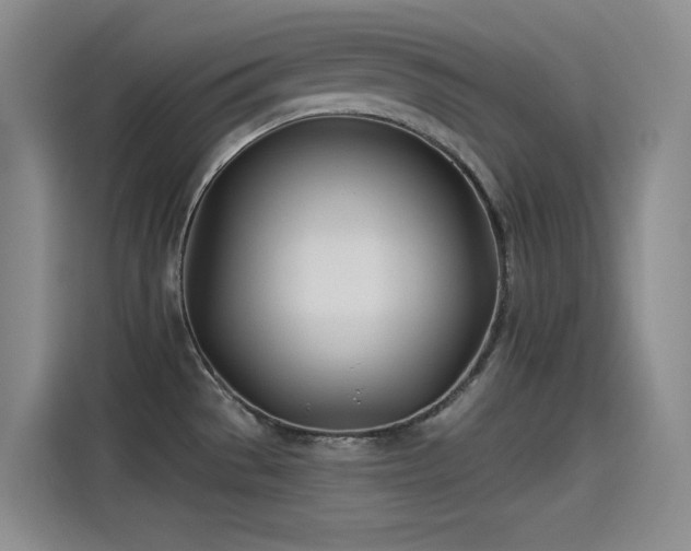 X0000115241529200911061137