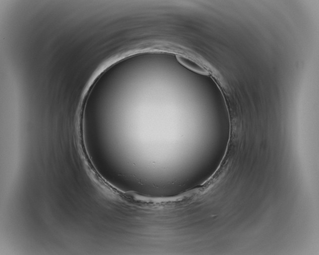 X0000115241530200911061137