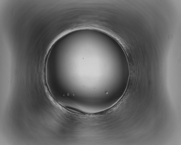 X0000115241534200911061137