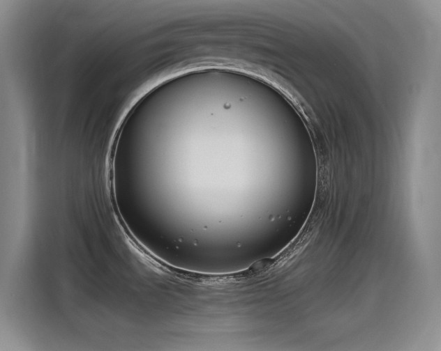 X0000115241535200911061137