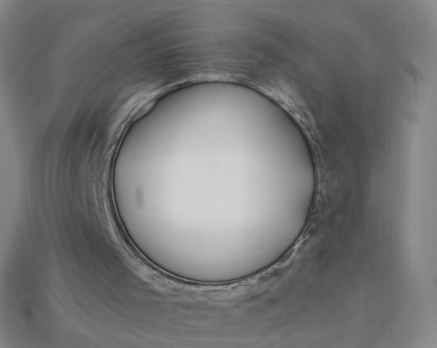 X0000115240001200911131713