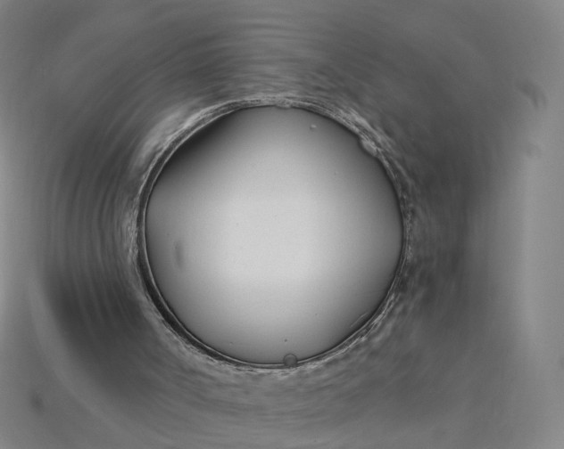 X0000115240002200911131713