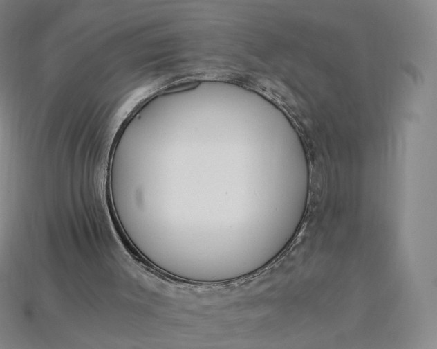 X0000115240003200911131713