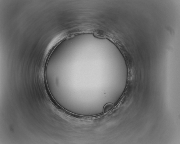 X0000115240004200911131713