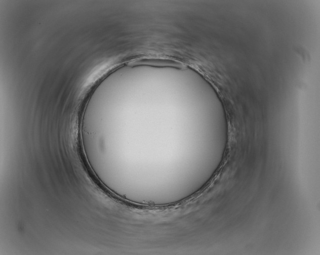 X0000115240005200911131713