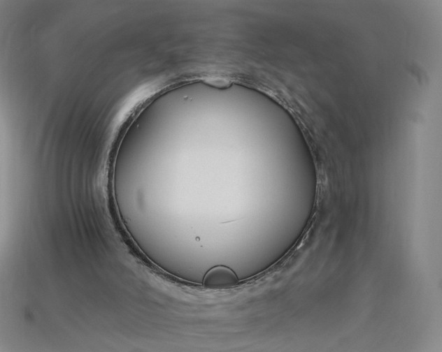 X0000115240006200911131713