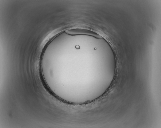 X0000115240007200911131713