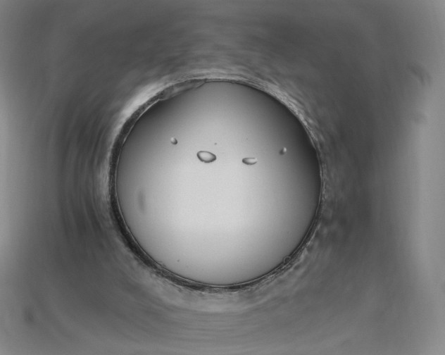 X0000115240008200911131713