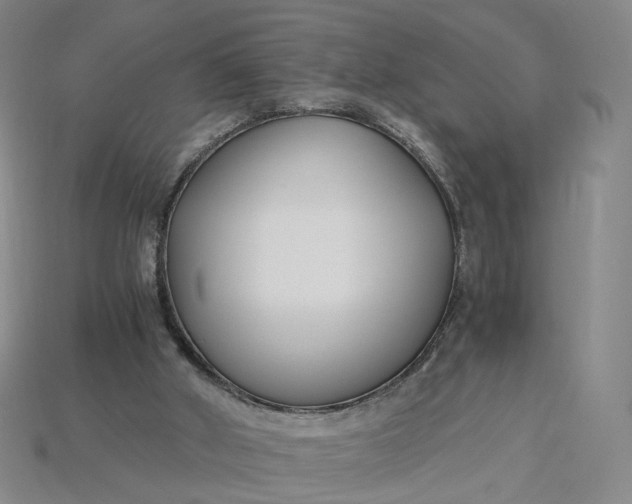 X0000115240010200911131713