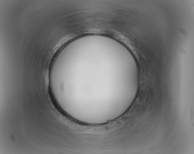 X0000115240011200911131713