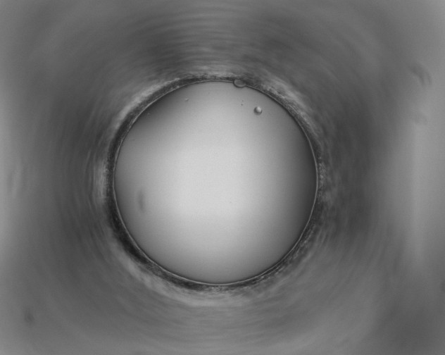X0000115240012200911131713