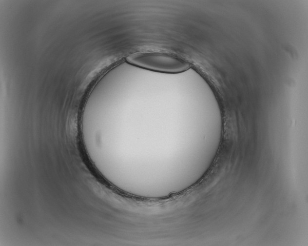 X0000115240015200911131713