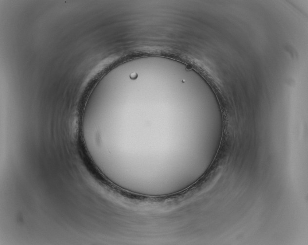 X0000115240016200911131713