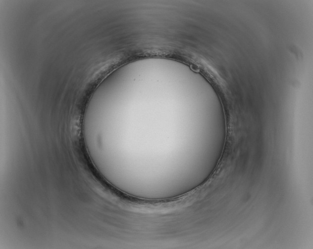 X0000115240017200911131713