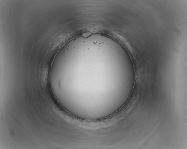 X0000115240018200911131713