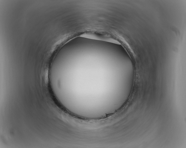 X0000115240019200911131713