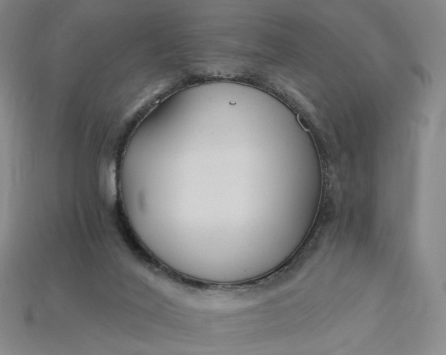 X0000115240020200911131713