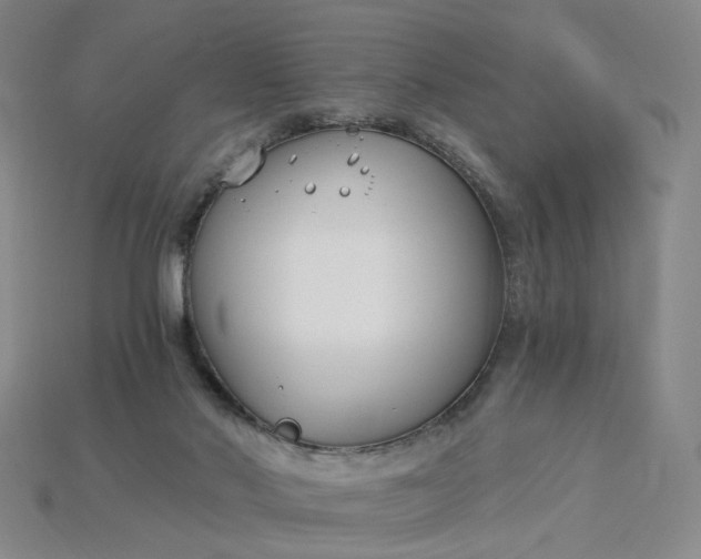 X0000115240022200911131713