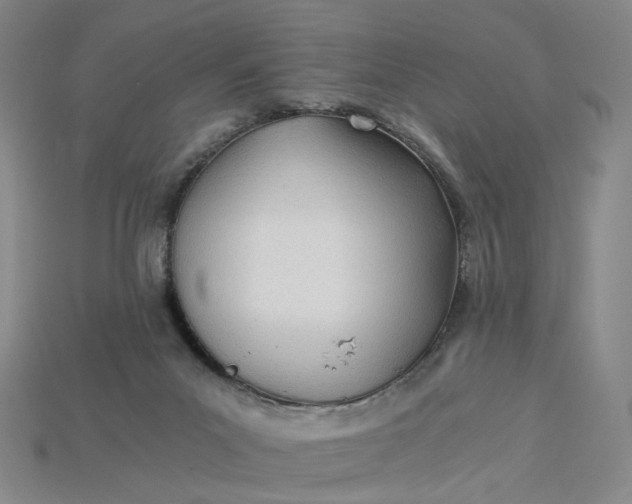 X0000115240023200911131713