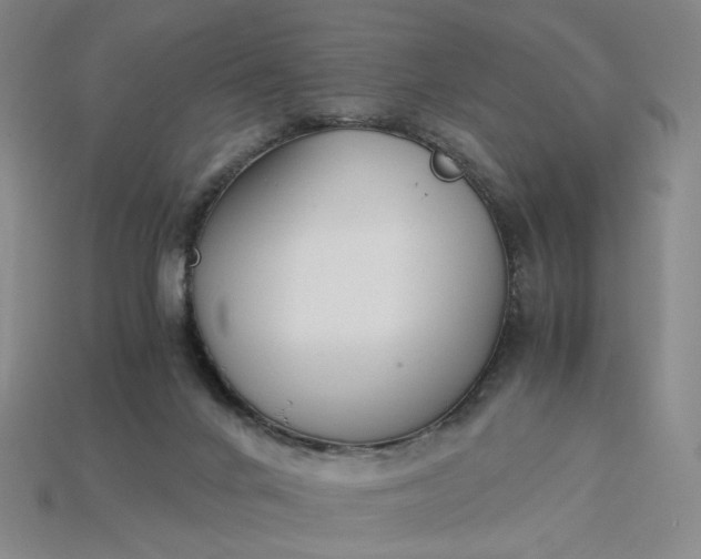X0000115240024200911131713