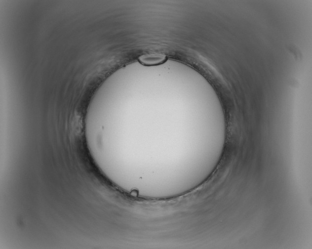 X0000115240025200911131713
