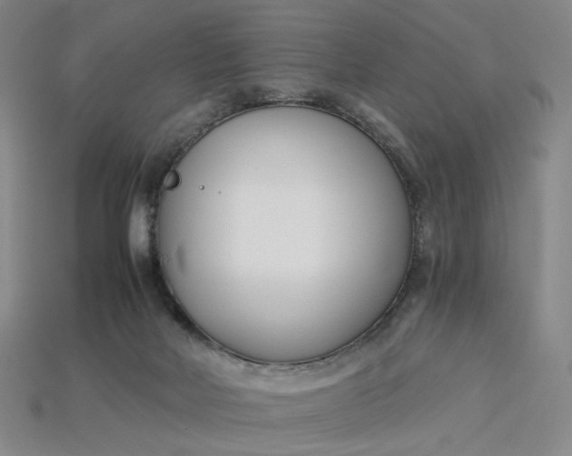 X0000115240026200911131713