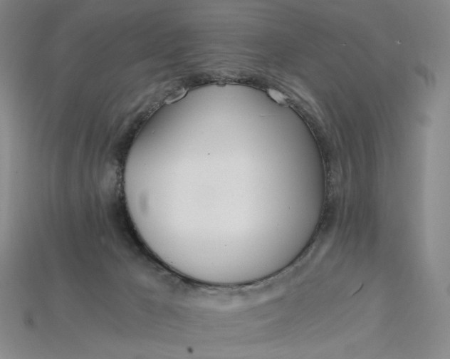 X0000115240029200911131713