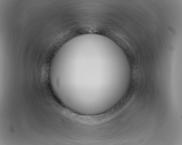 X0000115240030200911131713