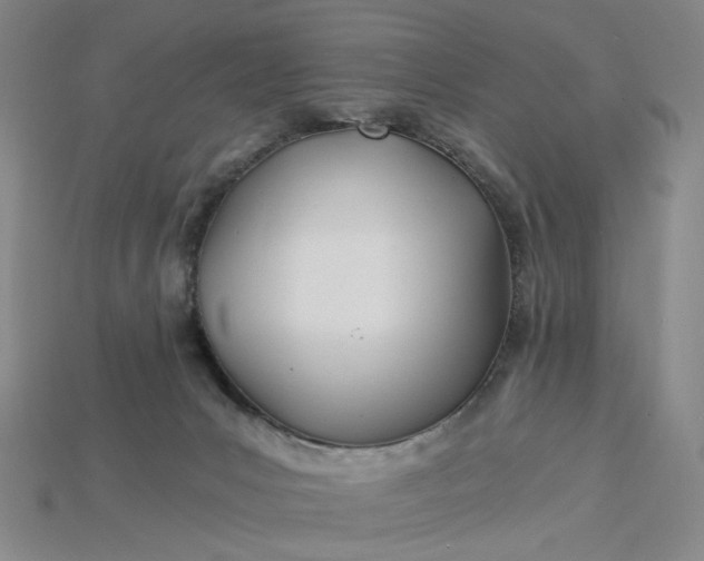 X0000115240031200911131713