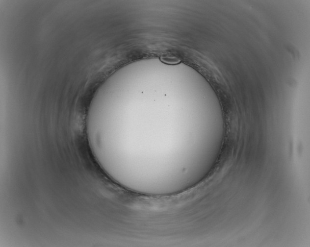 X0000115240033200911131713