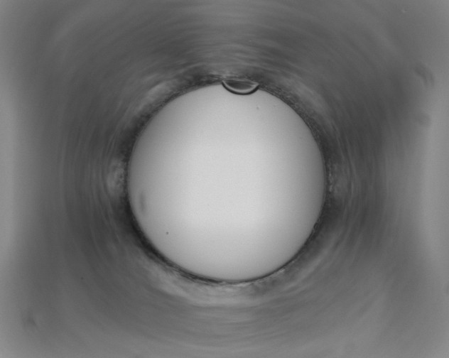 X0000115240036200911131713