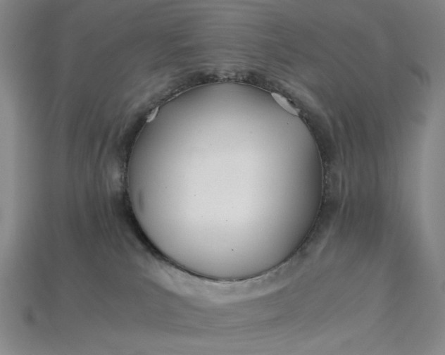 X0000115240039200911131713