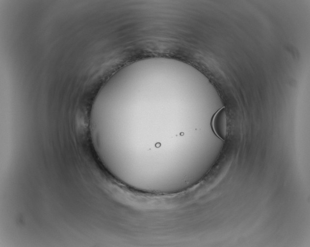 X0000115240040200911131713