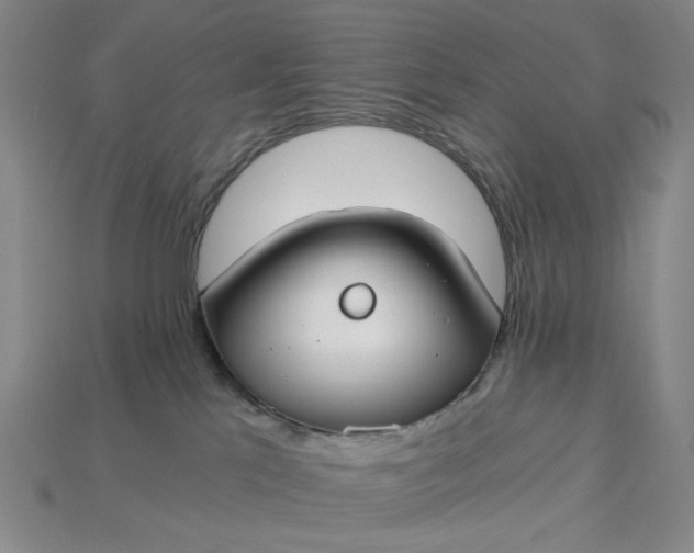 X0000115240041200911131713