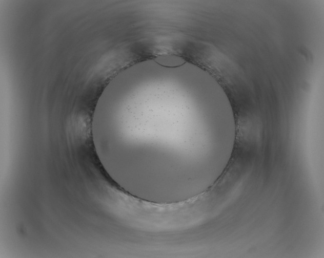 X0000115240043200911131713