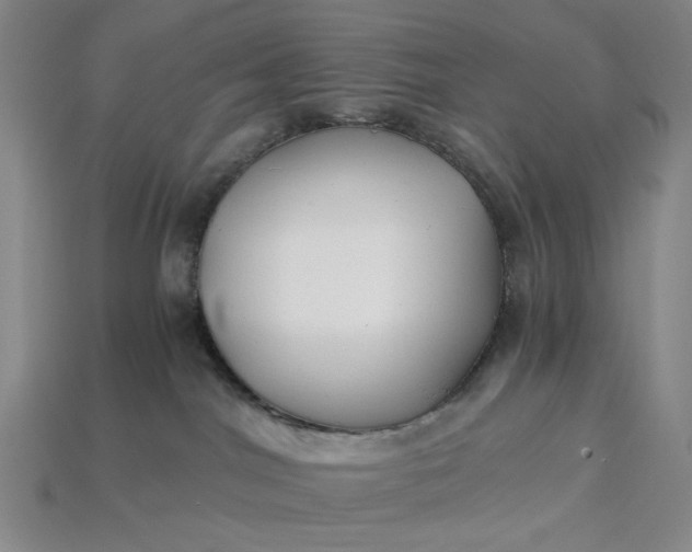 X0000115240044200911131713