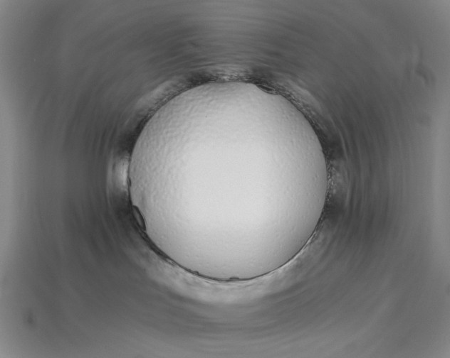 X0000115240047200911131713