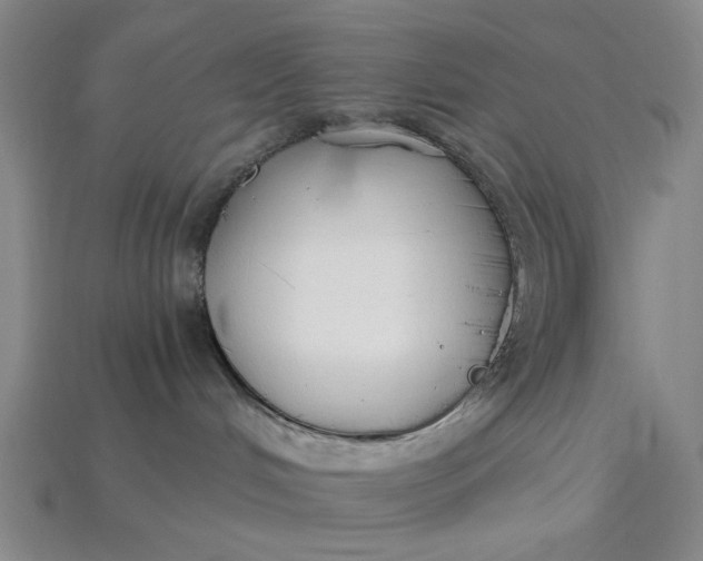 X0000115240048200911131713