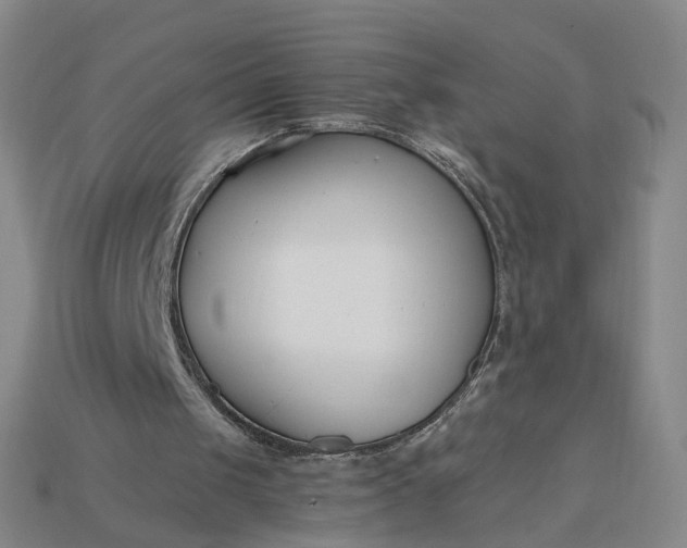 X0000115240049200911131712
