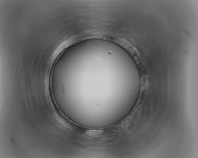 X0000115240051200911131712