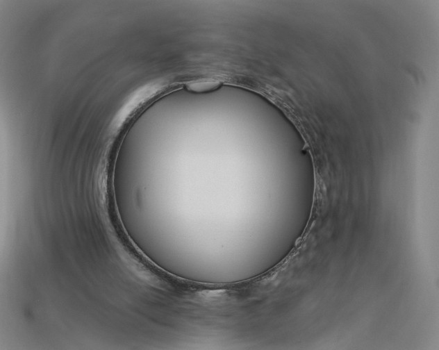 X0000115240054200911131712