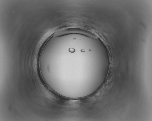 X0000115240055200911131712